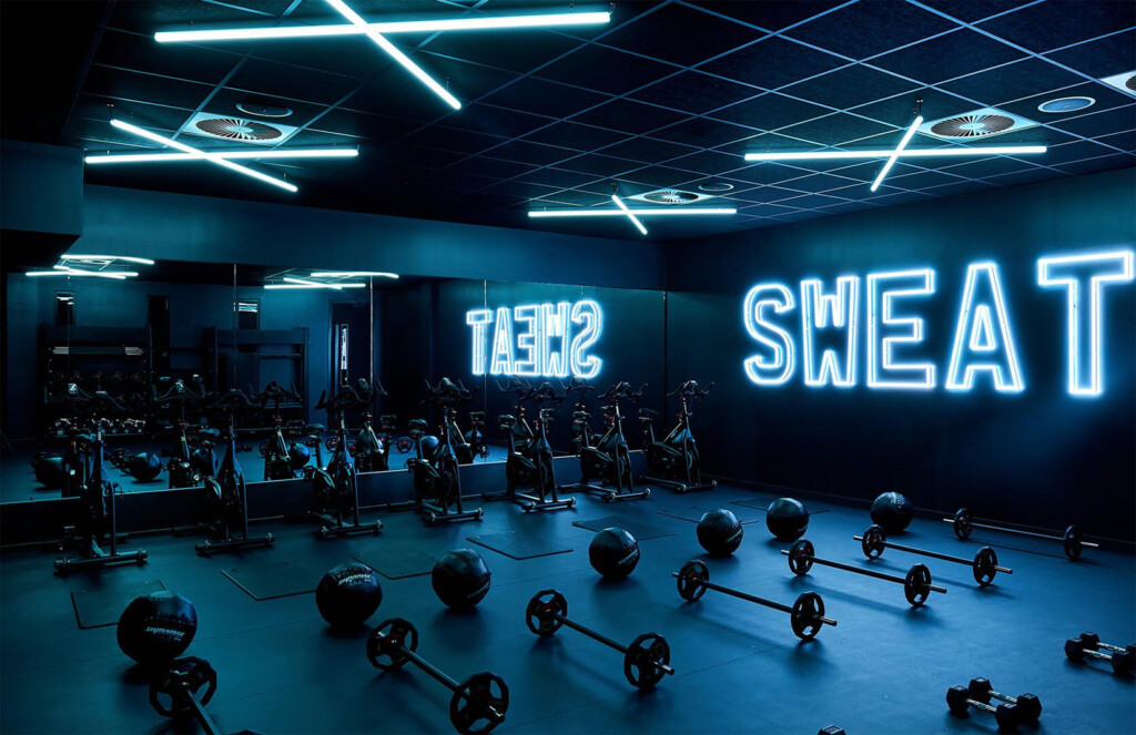 functional training studio equipment  Gym design, Functional training, Functional  training workouts